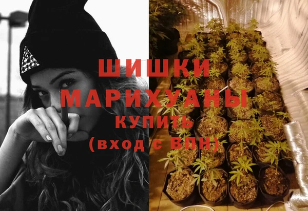 метадон Вяземский