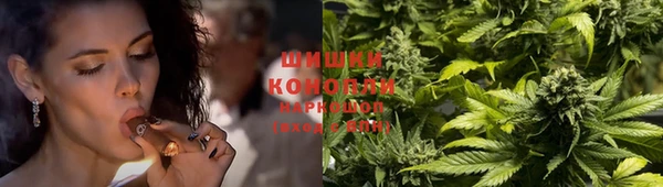 метадон Вяземский