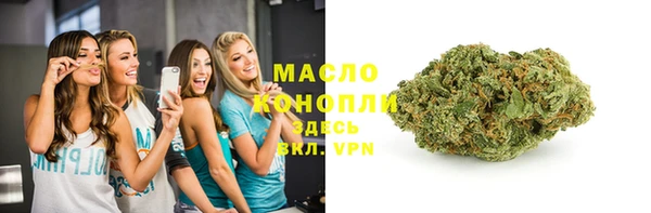 spice Дмитриев