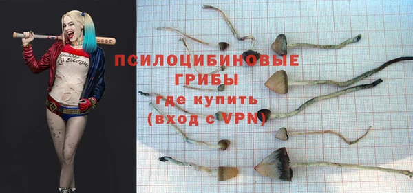 метадон Вяземский