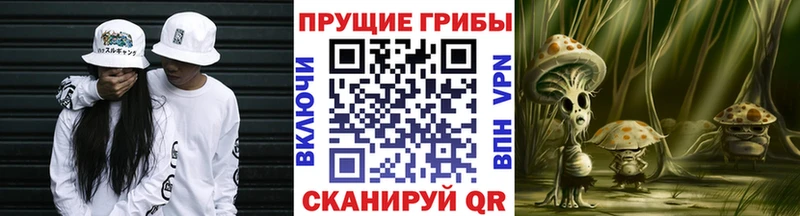 Галлюциногенные грибы MAGIC MUSHROOMS  Дно 