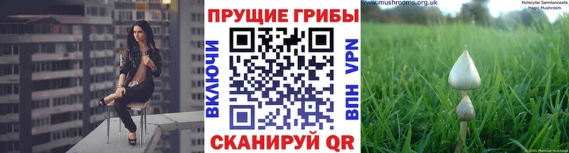 Галлюциногенные грибы мицелий Дно