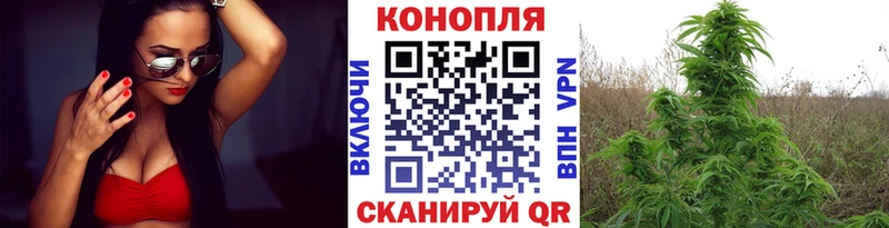 Каннабис сатива  маркетплейс клад  Дно 